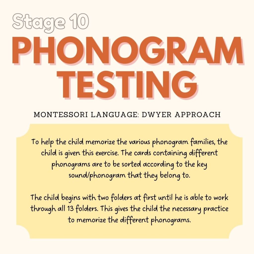 phonogram testing mindsprout montessori dwyer