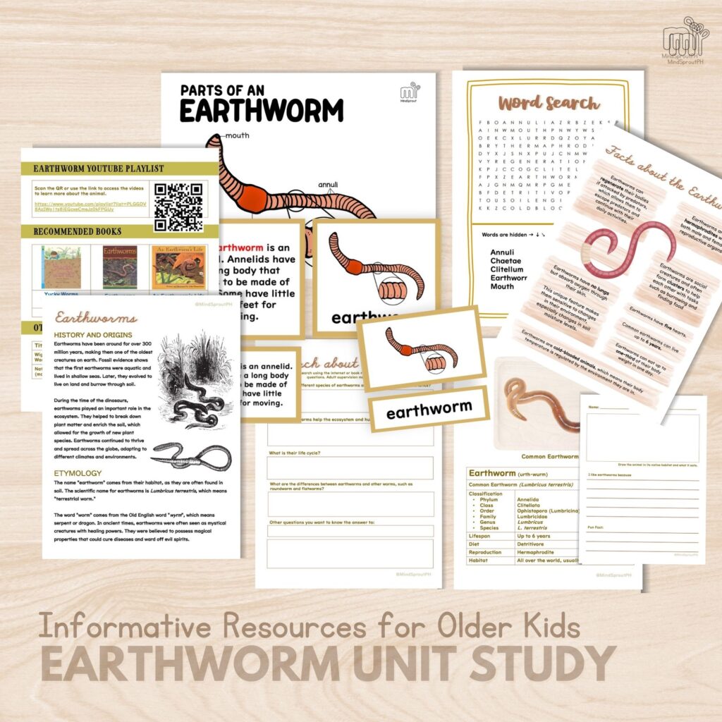 Facts about Earthworm Unit Study for lower Elementary Activity Homeschool Printable Parts of the Earthworm Life Cycle 