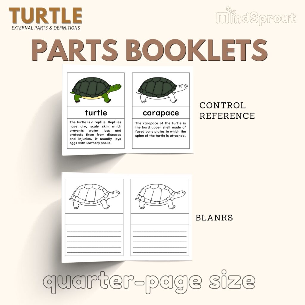 Parts of the turtle montessori zoology turtle anatomy tortoise 5 part cards