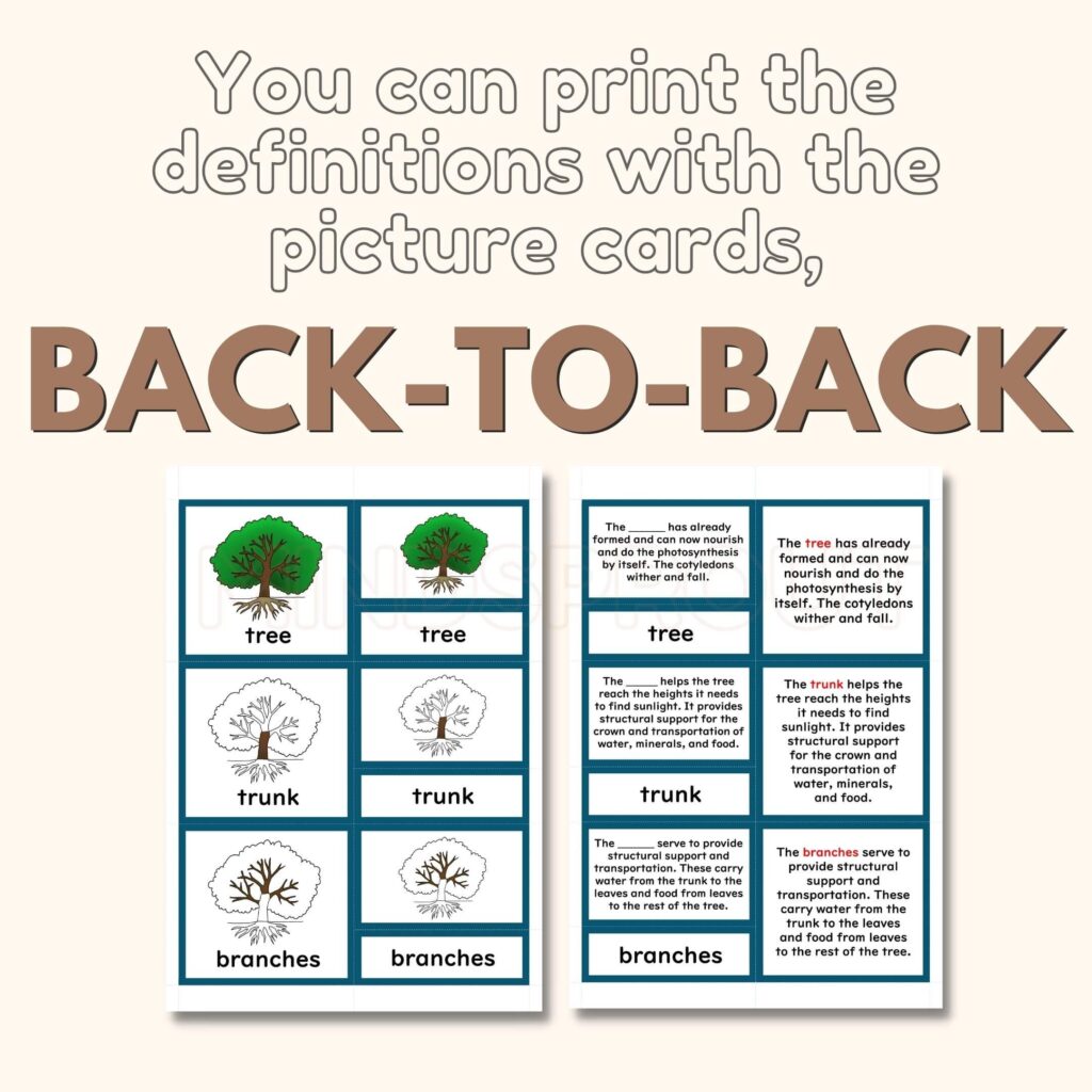 Parts of the Tree 5-Part Cards & Booklets