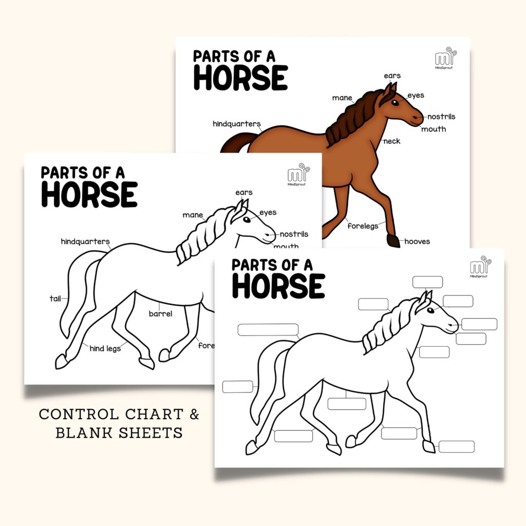 parts of the horse montessori zoology mammals anatomy wall art control chart coloring page