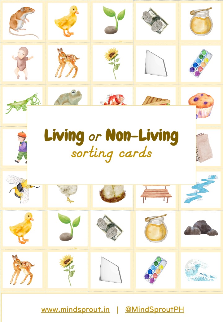 living and nonliving sorting montessori