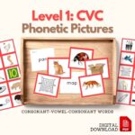 phonetic cvc word picture cards stage 1
