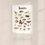 Insects MindSprout Poster