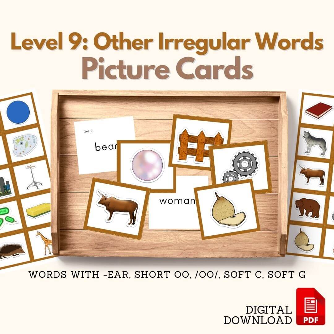 Stage 9: Other Irregular Words Reading Picture Cards