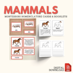 Montessori zoology parts of the horse anatomy control charts