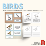 bird nomenclature cards and booklet montessori