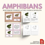 amphibians frog nomenclature cards montessori booklets