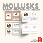 mollusks montessori zoology parts of the snail anatomy 5 part cards invertebrates booklet unit study